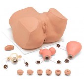 Гинекологический тренажер EVA