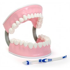 С06 Тренажер для ухода за зубами (16х17х17 см/ 0,66 кг)