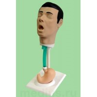 Т16 Тренажер для зондирования и промывания желудка (67х23х29 см)