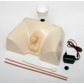 Т6 Тренажер для катетеризации мочевого пузыря (мужской)